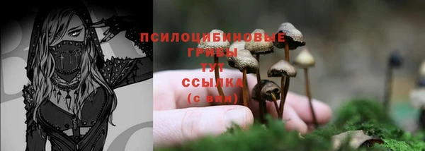синтетический гашиш Каменка