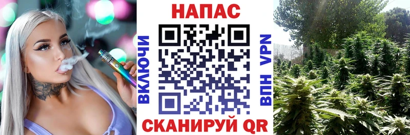 Конопля MAZAR  OMG ТОР  Феодосия  как найти наркотики 